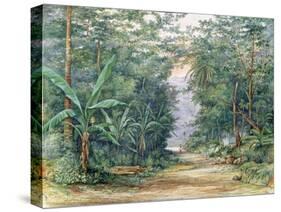 T1229 the Blue Mountains, Jamaica, 1879-Admiral Sir Edward Augustus Inglefield-Stretched Canvas