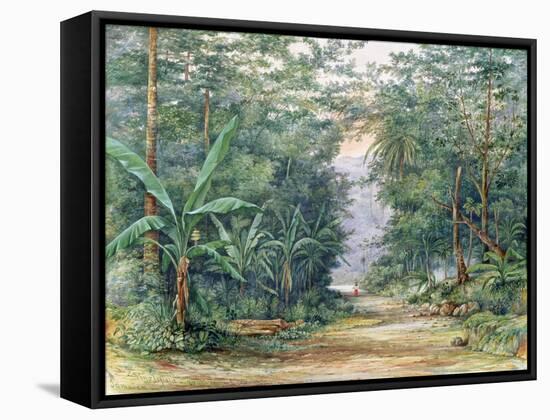 T1229 the Blue Mountains, Jamaica, 1879-Admiral Sir Edward Augustus Inglefield-Framed Stretched Canvas