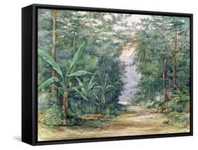 T1229 the Blue Mountains, Jamaica, 1879-Admiral Sir Edward Augustus Inglefield-Framed Stretched Canvas