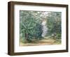 T1229 the Blue Mountains, Jamaica, 1879-Admiral Sir Edward Augustus Inglefield-Framed Giclee Print