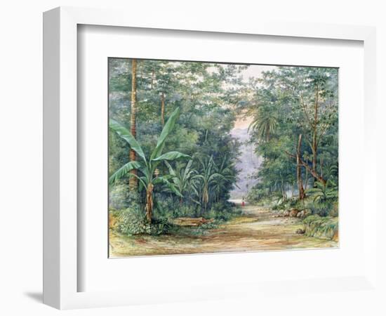 T1229 the Blue Mountains, Jamaica, 1879-Admiral Sir Edward Augustus Inglefield-Framed Giclee Print