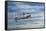 T6 Harvard Airplane-paul fleet-Framed Stretched Canvas