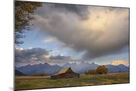 Ta Moulton Barn, Mormon Row, Grand Tetons National Park, Wyoming, United States of America-Gary Cook-Mounted Photographic Print