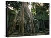 Ta Prohm, 400-year-old Tree, Cambodia-Walter Bibikow-Stretched Canvas