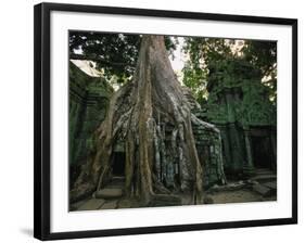 Ta Prohm, 400-year-old Tree, Cambodia-Walter Bibikow-Framed Photographic Print