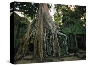 Ta Prohm, 400-year-old Tree, Cambodia-Walter Bibikow-Stretched Canvas