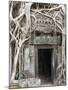 Ta Prohm, Angkor Archaeological Park, UNESCO World Heritage Site, Siem Reap, Cambodia, Indochina-Richard Maschmeyer-Mounted Photographic Print