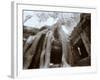 Ta Prohm, Angkor, Cambodia-Walter Bibikow-Framed Photographic Print