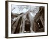 Ta Prohm, Angkor, Cambodia-Walter Bibikow-Framed Photographic Print