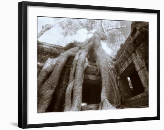 Ta Prohm, Angkor, Cambodia-Walter Bibikow-Framed Photographic Print