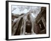 Ta Prohm, Angkor, Cambodia-Walter Bibikow-Framed Photographic Print