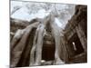 Ta Prohm, Angkor, Cambodia-Walter Bibikow-Mounted Photographic Print