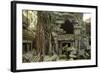 Ta Prohm Pagoda at Angkor Wat, Cambodia-Paul Souders-Framed Photographic Print