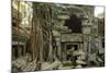 Ta Prohm Pagoda at Angkor Wat, Cambodia-Paul Souders-Mounted Photographic Print