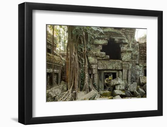 Ta Prohm Pagoda at Angkor Wat, Cambodia-Paul Souders-Framed Photographic Print