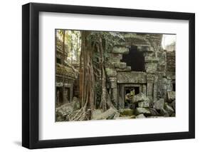 Ta Prohm Pagoda at Angkor Wat, Cambodia-Paul Souders-Framed Photographic Print