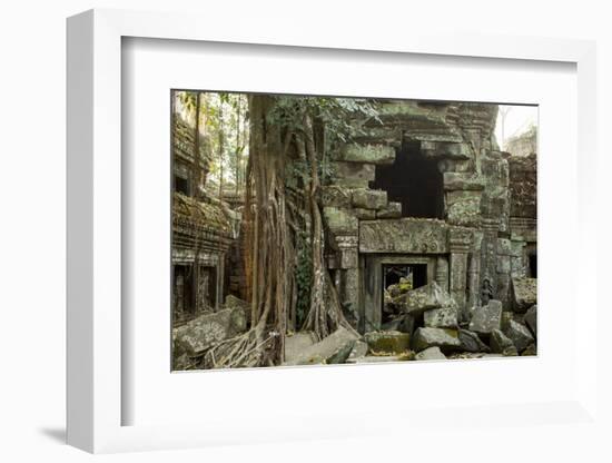 Ta Prohm Pagoda at Angkor Wat, Cambodia-Paul Souders-Framed Photographic Print