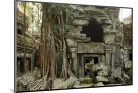 Ta Prohm Pagoda at Angkor Wat, Cambodia-Paul Souders-Mounted Photographic Print