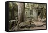 Ta Prohm Pagoda at Angkor Wat, Siem Reap, Cambodia-Paul Souders-Framed Stretched Canvas