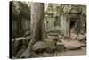 Ta Prohm Pagoda at Angkor Wat, Siem Reap, Cambodia-Paul Souders-Stretched Canvas