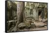 Ta Prohm Pagoda at Angkor Wat, Siem Reap, Cambodia-Paul Souders-Framed Stretched Canvas