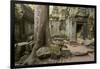 Ta Prohm Pagoda at Angkor Wat, Siem Reap, Cambodia-Paul Souders-Framed Photographic Print