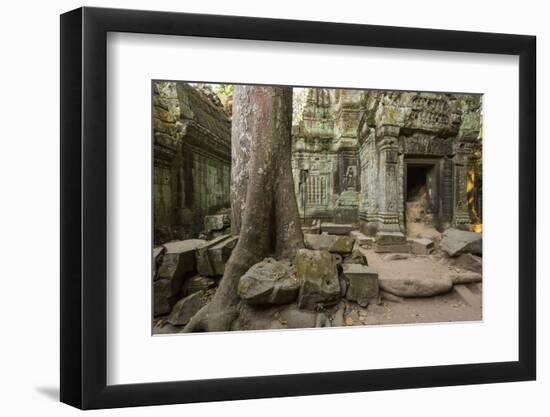 Ta Prohm Pagoda at Angkor Wat, Siem Reap, Cambodia-Paul Souders-Framed Photographic Print