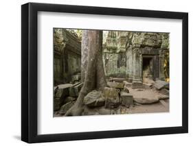 Ta Prohm Pagoda at Angkor Wat, Siem Reap, Cambodia-Paul Souders-Framed Photographic Print