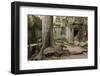 Ta Prohm Pagoda at Angkor Wat, Siem Reap, Cambodia-Paul Souders-Framed Photographic Print