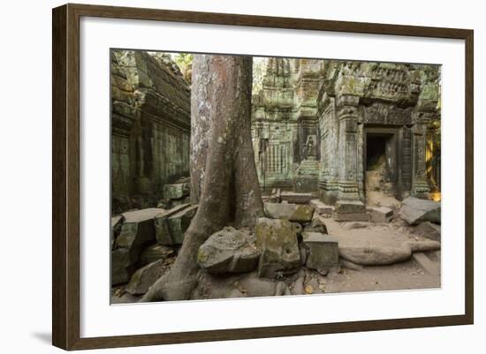 Ta Prohm Pagoda at Angkor Wat, Siem Reap, Cambodia-Paul Souders-Framed Photographic Print