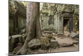 Ta Prohm Pagoda at Angkor Wat, Siem Reap, Cambodia-Paul Souders-Mounted Photographic Print