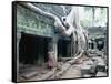 Ta Prohm Temple, Angkor, Cambodia-Angelo Cavalli-Framed Stretched Canvas