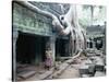 Ta Prohm Temple, Angkor, Cambodia-Angelo Cavalli-Stretched Canvas