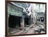 Ta Prohm Temple, Angkor, Cambodia-Angelo Cavalli-Framed Photographic Print