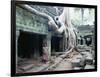 Ta Prohm Temple, Angkor, Cambodia-Angelo Cavalli-Framed Photographic Print