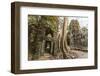 Ta Prohm Temple, Being Destroyed by Jungle Growth, Angkor, UNESCO World Heritage Site, Cambodia-Michael Nolan-Framed Photographic Print