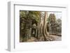 Ta Prohm Temple, Being Destroyed by Jungle Growth, Angkor, UNESCO World Heritage Site, Cambodia-Michael Nolan-Framed Photographic Print