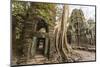 Ta Prohm Temple, Being Destroyed by Jungle Growth, Angkor, UNESCO World Heritage Site, Cambodia-Michael Nolan-Mounted Photographic Print