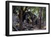 Ta Prohm Temple, Built in the 12th Century by King Jayavarman Vii, Angkor-Nathalie Cuvelier-Framed Photographic Print