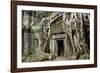 Ta Prohm Temple Dating from the Mid 12th to Early 13th Centuries-Jean-Pierre De Mann-Framed Photographic Print