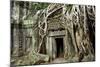 Ta Prohm Temple Dating from the Mid 12th to Early 13th Centuries-Jean-Pierre De Mann-Mounted Photographic Print