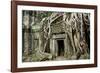 Ta Prohm Temple Dating from the Mid 12th to Early 13th Centuries-Jean-Pierre De Mann-Framed Photographic Print