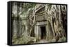 Ta Prohm Temple Dating from the Mid 12th to Early 13th Centuries-Jean-Pierre De Mann-Framed Stretched Canvas