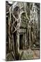 Ta Prohm Temple Dating from the Mid 12th to Early 13th Centuries-Jean-Pierre De Mann-Mounted Photographic Print