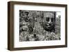 Ta Prohm Temple Dating from the Mid 12th to Early 13th Centuries-Jean-Pierre De Mann-Framed Photographic Print