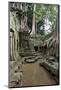 Ta Prohm Temple Dating from the Mid 12th to Early 13th Centuries-Jean-Pierre De Mann-Mounted Photographic Print
