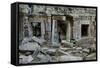 Ta Prohm Temple Ruins, Angkor World Heritage Site, Siem Reap, Cambodia-David Wall-Framed Stretched Canvas