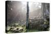 Ta Prohm Temple Sunrise, Angkor Thom, Angkor Wat Temple Complex, Siem Reap, Cambodia, Indochina-Stephen Studd-Stretched Canvas