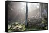 Ta Prohm Temple Sunrise, Angkor Thom, Angkor Wat Temple Complex, Siem Reap, Cambodia, Indochina-Stephen Studd-Framed Stretched Canvas