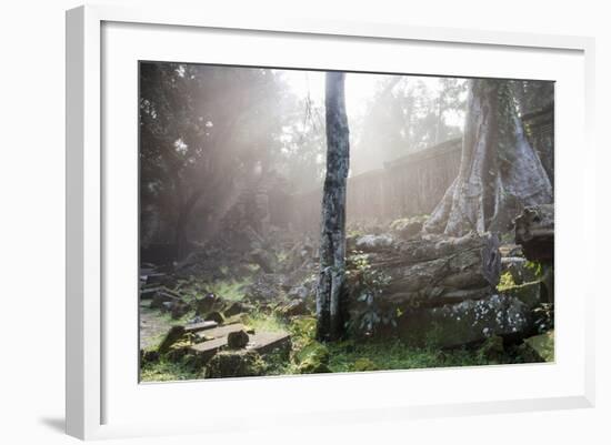 Ta Prohm Temple Sunrise, Angkor Thom, Angkor Wat Temple Complex, Siem Reap, Cambodia, Indochina-Stephen Studd-Framed Photographic Print